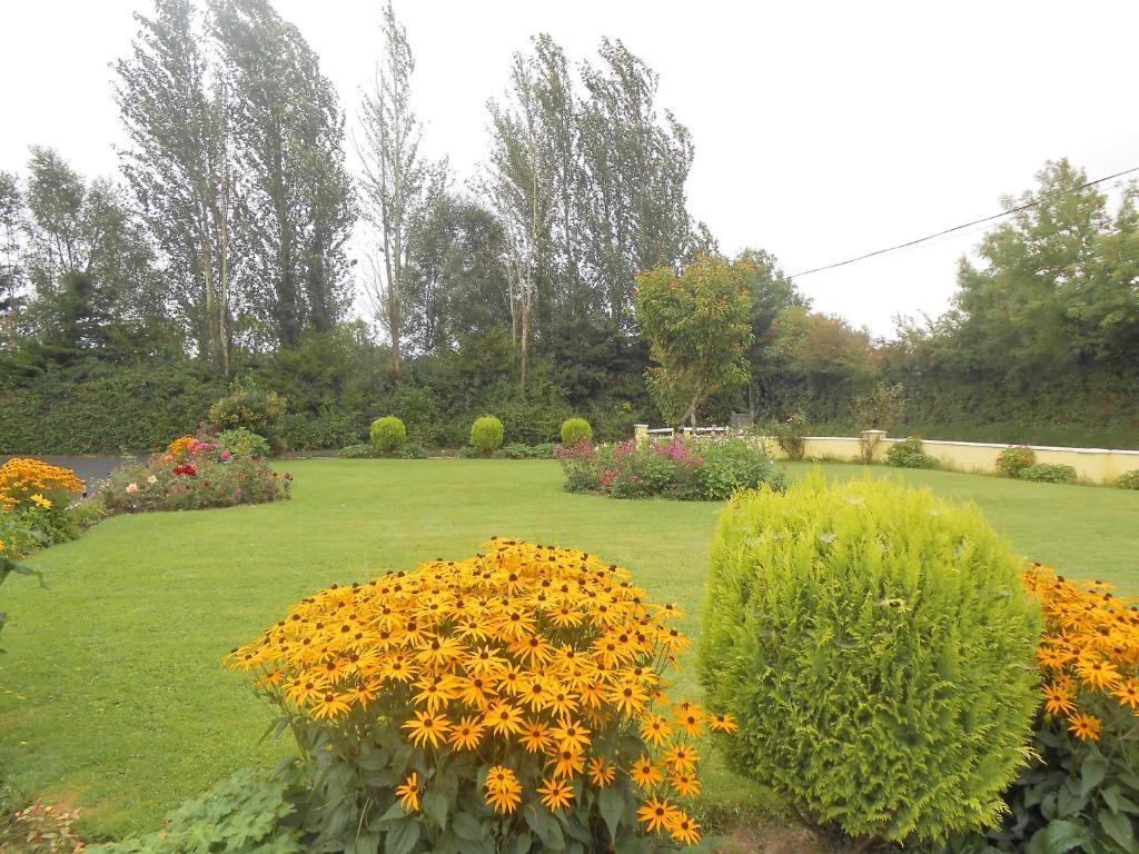 Gallows View Bed & Breakfast Bunratty Bilik gambar